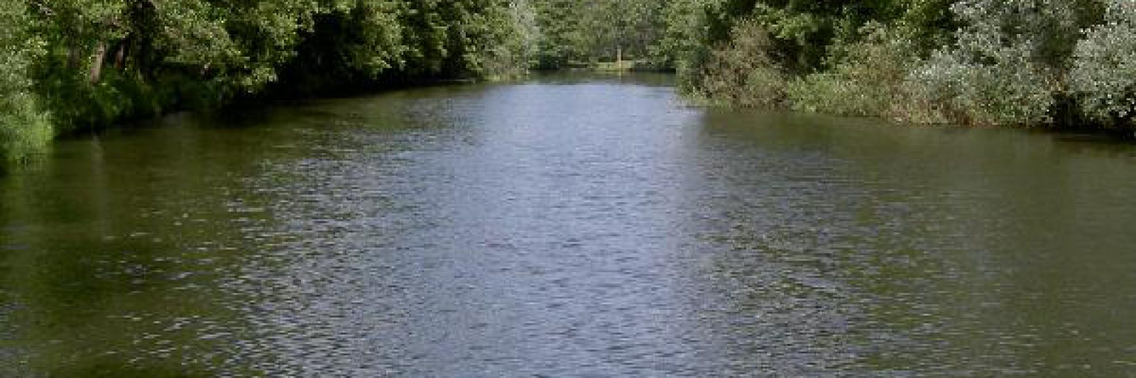 Blick auf die Spree