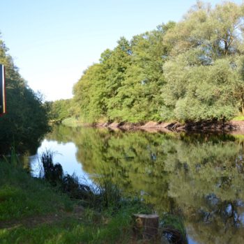 Blick auf die Spree